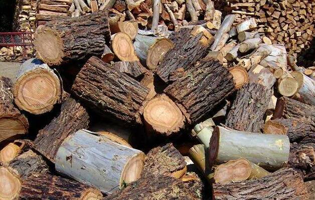 LOAD UP: Orange City Council will provide free firewood for those in need.