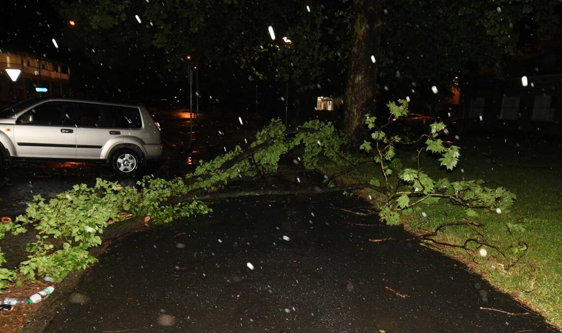 AS IT HAPPENED: A branch from a tree in Robertson Park fell across the path along Lords Place during the storm on Friday night. Photo: JUDE KEOGH 