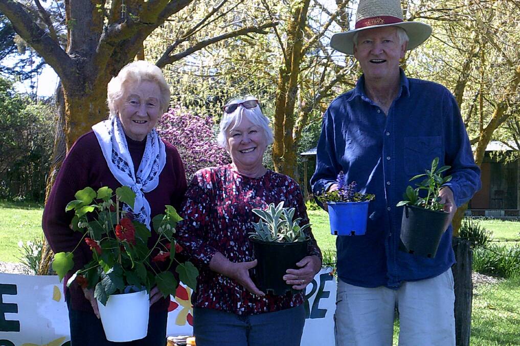 GONE POTTY: Getting plants ready for the St Marks Spring Fair in Millthorpe on Saturday are Peggy Adams, Dawn Mobbs and John Mason. Photo: SUPPLIED