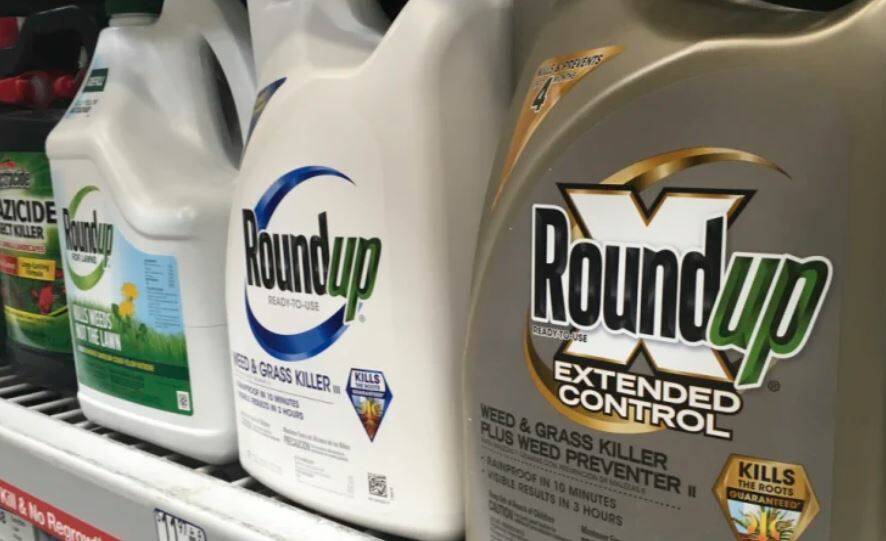 DANGEROUS: Court rulings have been passed on the health impacts of glyphosate. FILE PHOTO