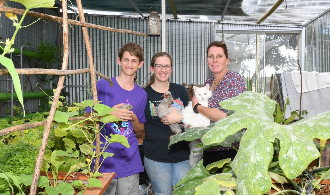 TEAM EFFORT: Lachlan, Sienna and Nicky Nealon in the family's Burrendong Way greenhouse. Photo: CARLA FREEDMAN
