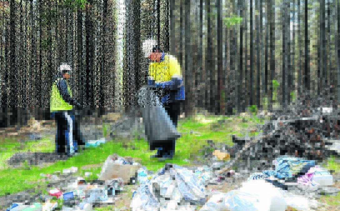 END THE WASTE: Jacob Perryment and Josh Lane work to remove dumped rubbish in the Kinross State Forest in 2015. Photo: STEVE GOSCH 0924sgdump5