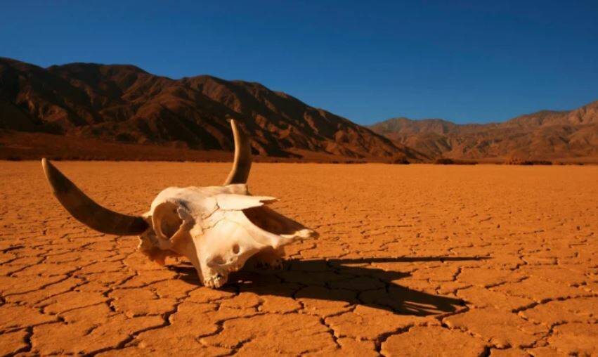 ONGOING ISSUE: Climate change will be a key issue in the approaching federal election. FILE PHOTO