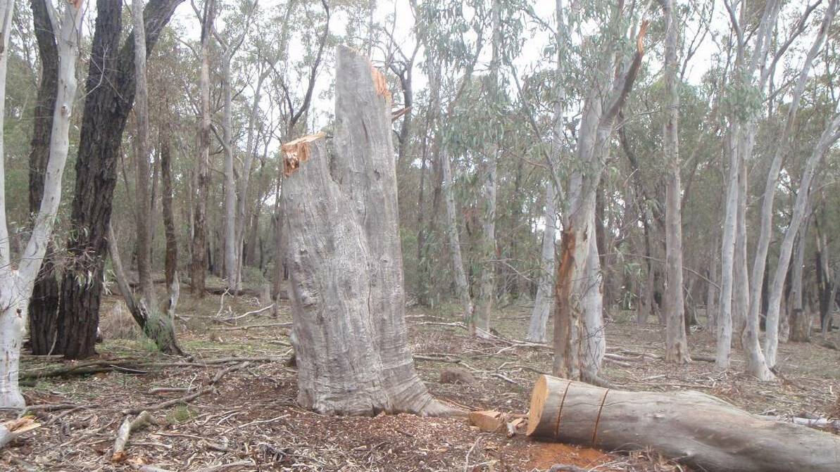 DON'T BE TEMPTED: Residents are warned not to collect firewood in national parks.