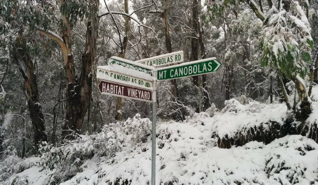 ROAD TO NOWHERE: Cabonne Council has closed the access roads to the summit of Mount Canobolas. Photo: FILE PHOTO