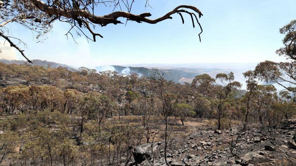UNDER FIRE: The Mount Canobolas State Conservation Area during February's fires. Dr Andrew Rawson believes the area is once again being threatened.