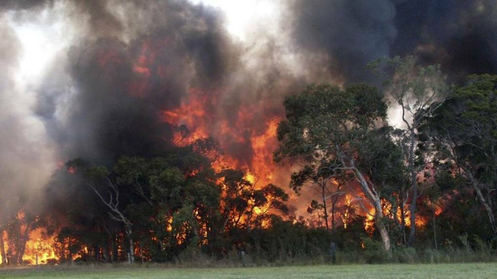 NIGHMARE SCENARIO: NSW Rural Fire Service personnel have issued warnings in an attempt to minimise bushfires in the coming weeks and months.