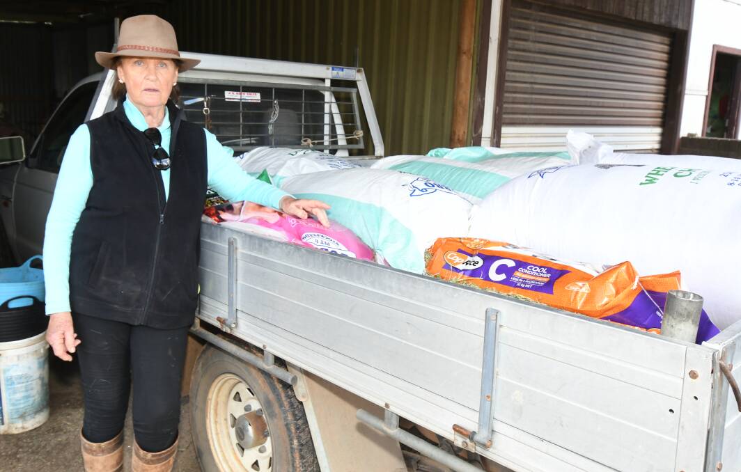 BARELY ENOUGH: Orange Horse Rescue Service's Noni McDermott with some of her remaining feed. Photo: CARLA FREEDMAN