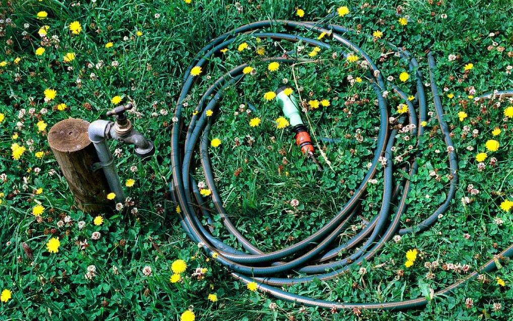 HOOK IT UP AGAIN: Orange City Council has decided hand-held hoses can again be used to water gardens.