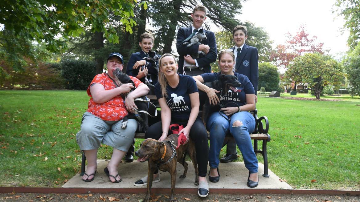 PARK PATS: Catherine Frost and Cooper, Hugh Thompson and Willow, Jasmine Smart and Baxter, Bradman Gavin and Stella, Mel Ross and Disney Dog and James Thompson after Kinross Wolaroi School students raised funds for the Animal Welfare League. Photo: CARLA FREEDMAN