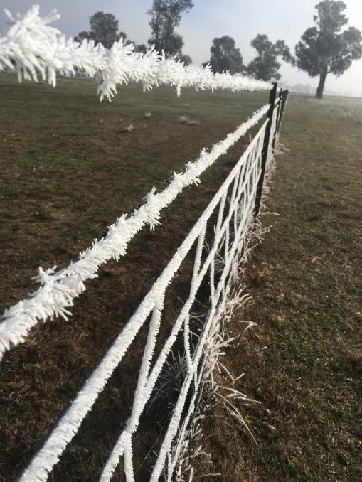 WAKING UP TO WINTER: Central Western Daily reader Maddi Kelly took this photo near Canowindra on the weekend.