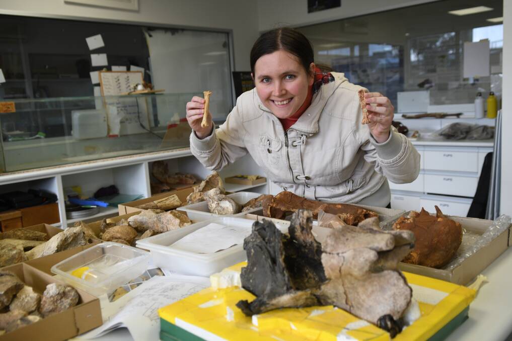 Dr Ellen Mather holding the fossil vulture tarsus from Wellington Caves (right) and a tarsus of a living vulture species (left). Picture: Supplied 