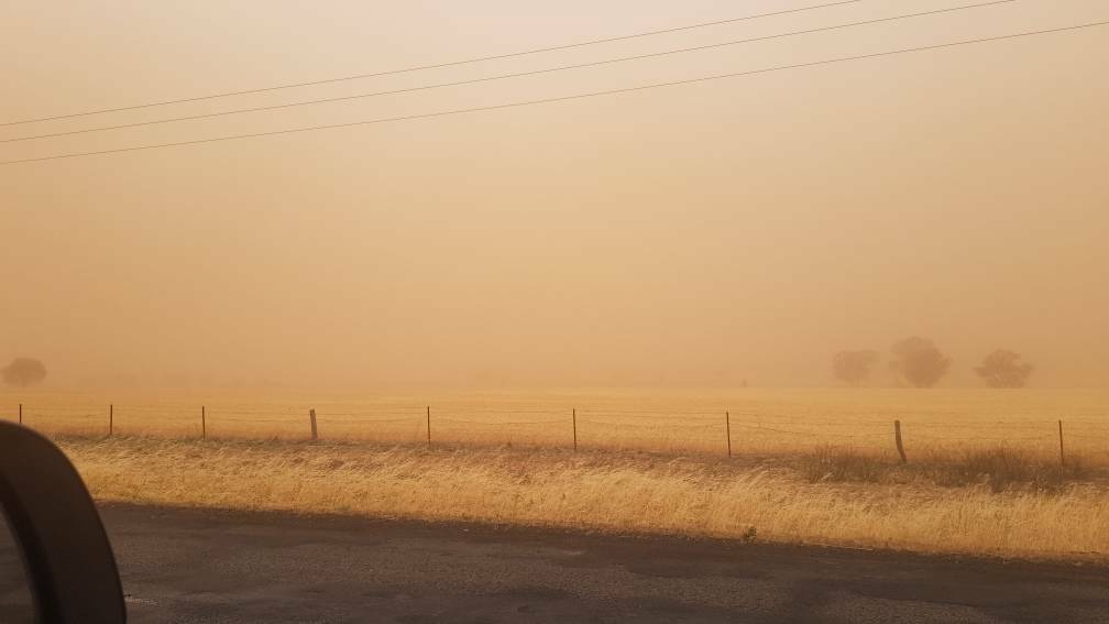 You couldn't see across the paddock in Eugowra yesterday. Photo: Ian Docker.
