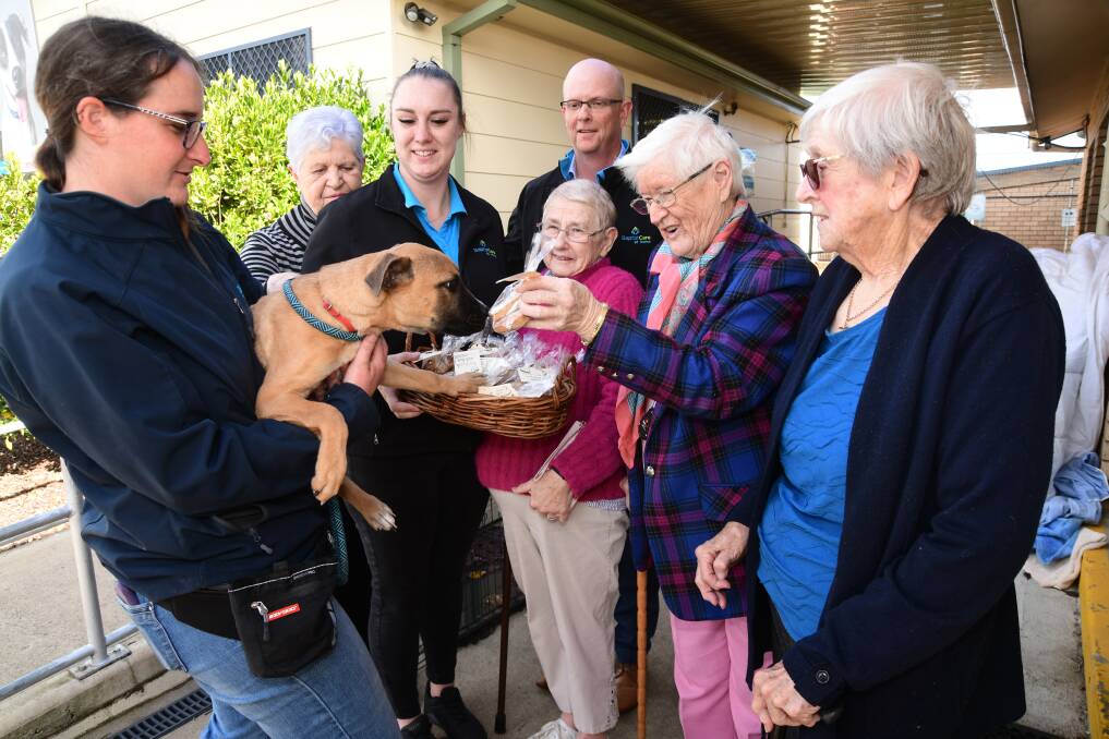 Tiarna Chappell (RSPCA animal attendant) with Cadbury the Boxer cross, Josh Benson (Assistant manager Baptist Care Orange) Dorothy Ridley, Alexis Holland, Marie Macindoe, Jill Barrett, Anne Buckley. Picture by Jude Keogh