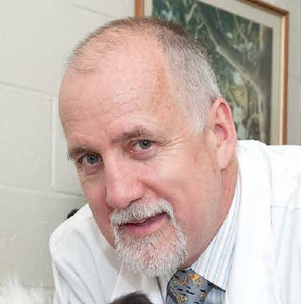 Professor Peter Irwin, principal of the College of Veterinary Medicine at Perth's Murdoch University. Picture: Australian Veterinary Association.