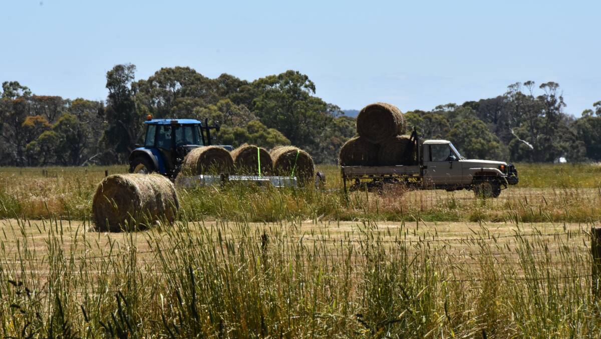 Region's booming hay bank to produce 'good quality hay' with next cut
