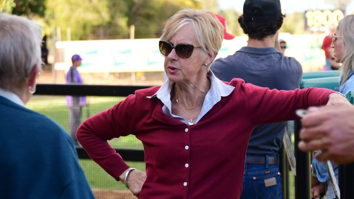 UNDER PRESSURE: Gayna Williams faces a race against time with El Mo presenting a foot abscess days out from the Country Championships. Photo: File