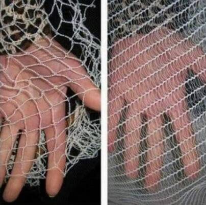 RIGHT AND WRONG: The netting on the left is too big, while the netting on the right is bat-friendly. Photo: SUPPLIED
