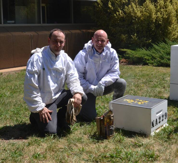 GOOD BEE-HAVIOUR: DPI plant biosecurity prevention and preparedness manager Chris Anderson and Minister for Primary Industries Niall Blair. 