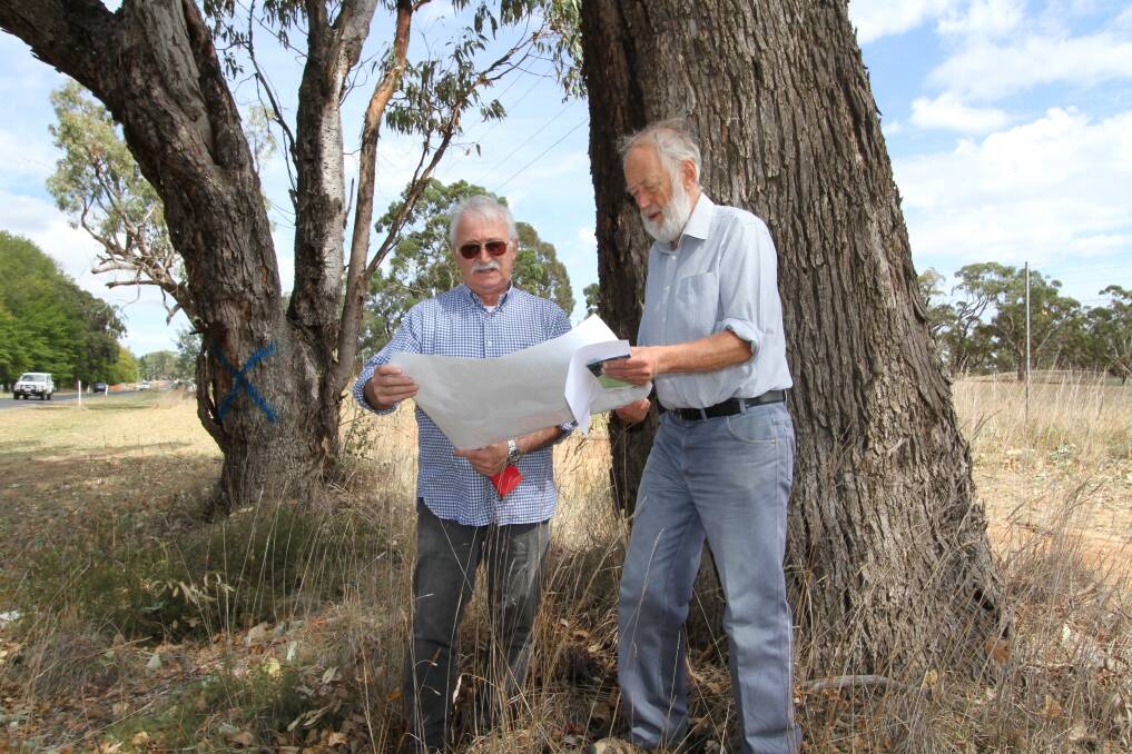 HABITAT PROTECTION: Eugene Dimitriadis and ECCO president Nick King consult a map of superb parrot sightings in front of two trees marked for removal. Photo: SUPPLIED
