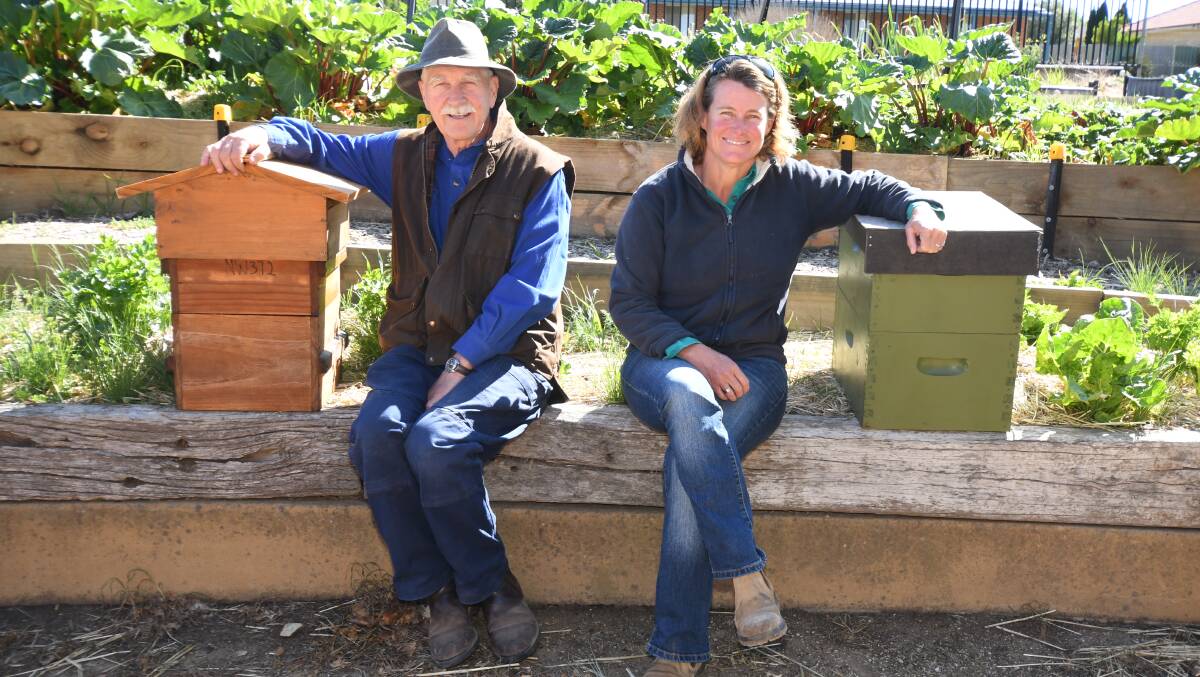 LITTLE WONDERS: Cameron Wild and Sally Kirby hope to establish an amateur beekeeping association in Orange. Photo: JUDE KEOGH