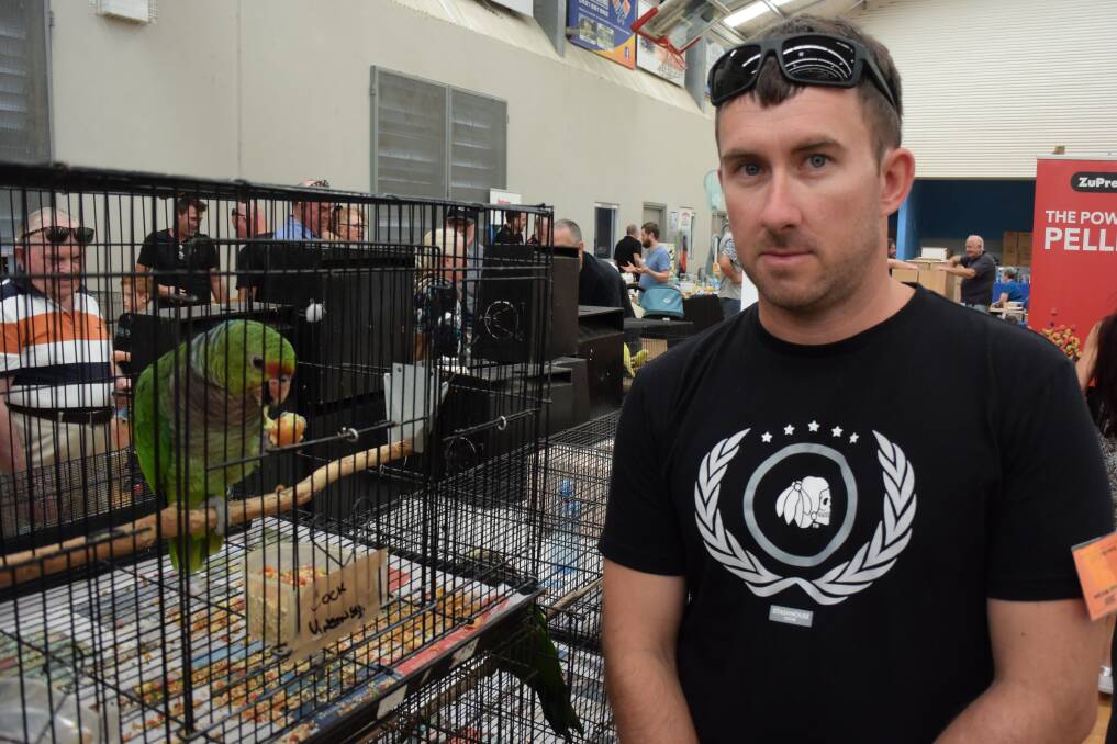 PASSION FOR BIRDS: Dylan Levoi breeds Amazons with his father. 