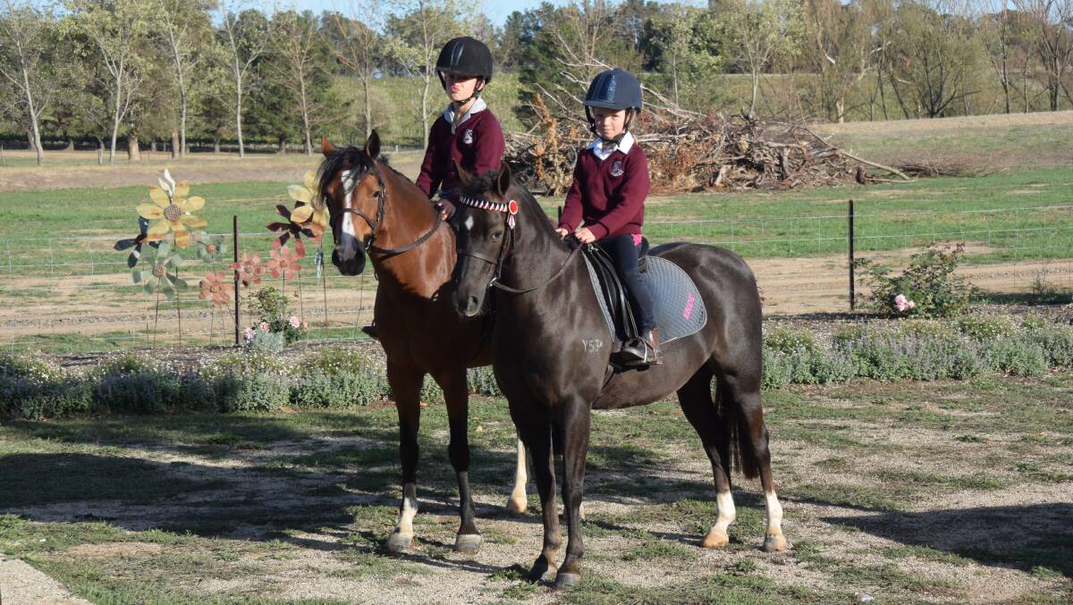 KEEN RIDERS: Beau and Indy Gardiner riding Gem and Millie. 