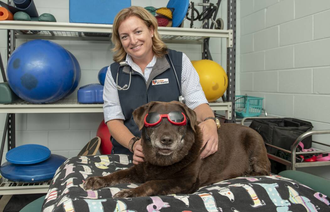 PET RECOVERY: Orange Vet Hospital veterinarian Genevieve Liebich with patient Lucy wearing some protective goggles. Photo: SUPPLIED