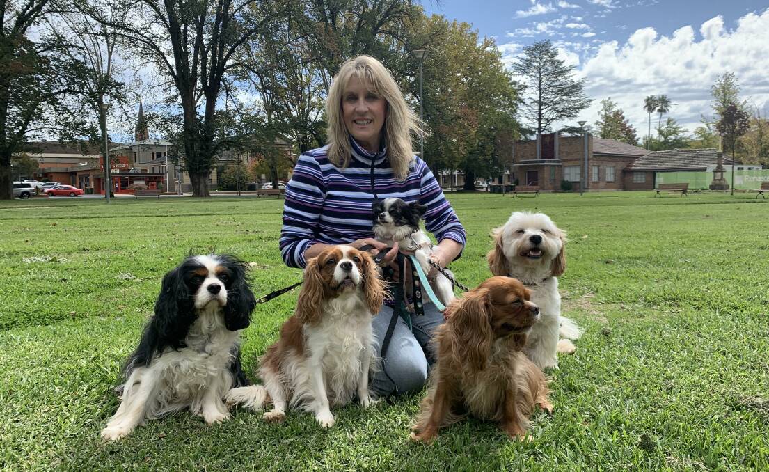 Dog trainer Debi Coleman with Dallas, Penny, Panda, Daisy and Toby. Photo: DANIELLE CETINSKI
