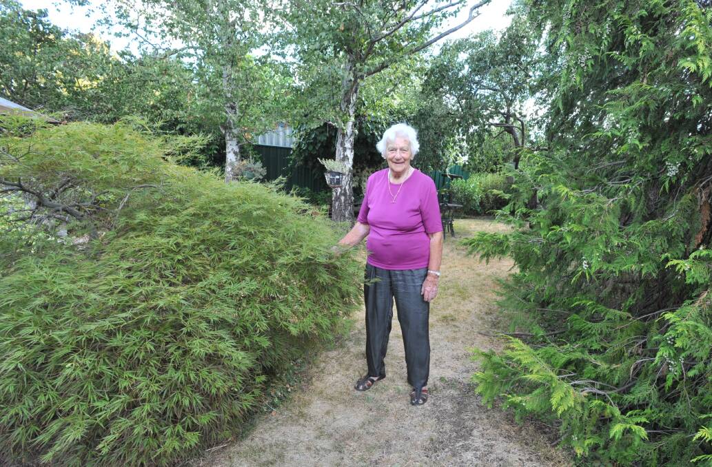 WATER-WISE: Zena Clout takes water restrictions into account when she gardens at her Glenroi Avenue home. Photo: JUDE KEOGH 0217jkwater3