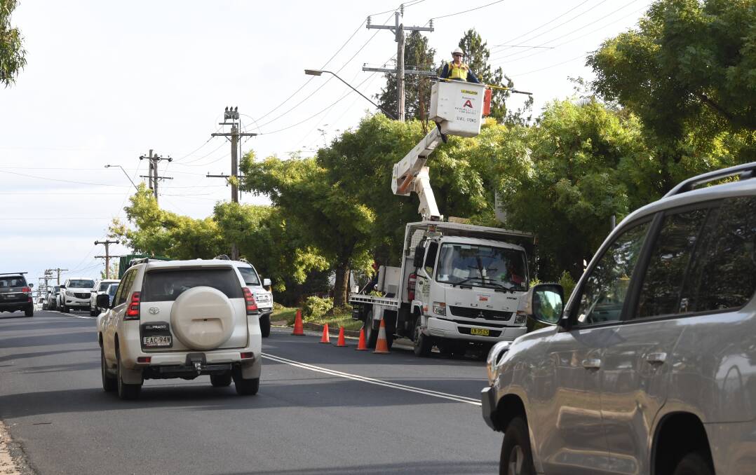 TROUBLESOME TREES: An Essential Energy contractor prunes trees in Anson Street on Wednesday morning. Photo: JUDE KEOGH