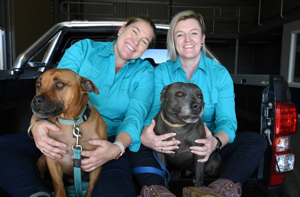 COMPANY: Diesel with owner Danielle Haase and Blue Dog with manager Caitlin Buchan. Photo: CARLA FREEDMAN