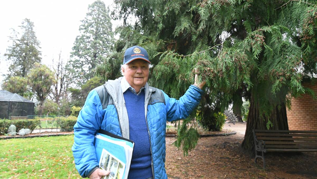 TREASURE TROVE: Malcolm Campbell is capturing Cook Park's trees in a booklet. Photo: JUDE KEOGH 0907jktrees1