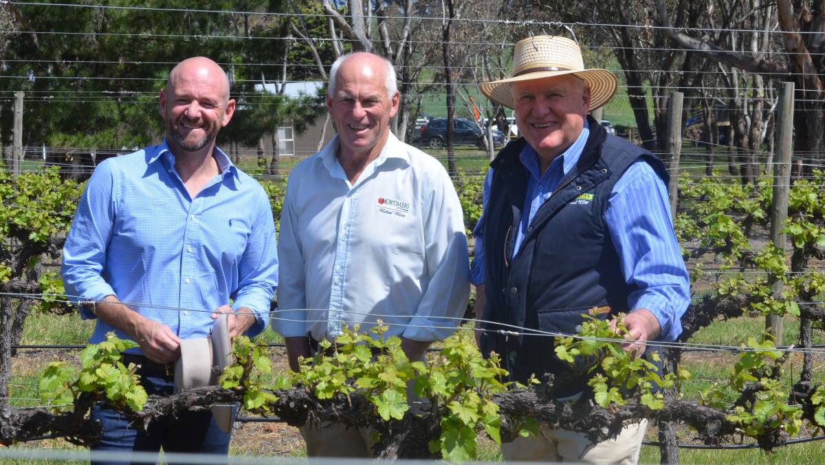 CALL IT OUT: Senior Nationals Niall Blair and Rick Colless visited Peter Mortimer's (centre) vineyard on Friday. Photo: DANIELLE CETINSKI