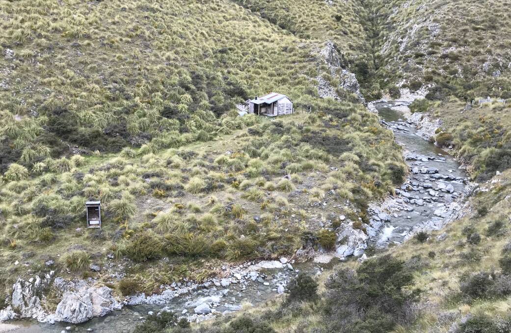 The hut and the terrain Alice was secluded in, in New Zealand.