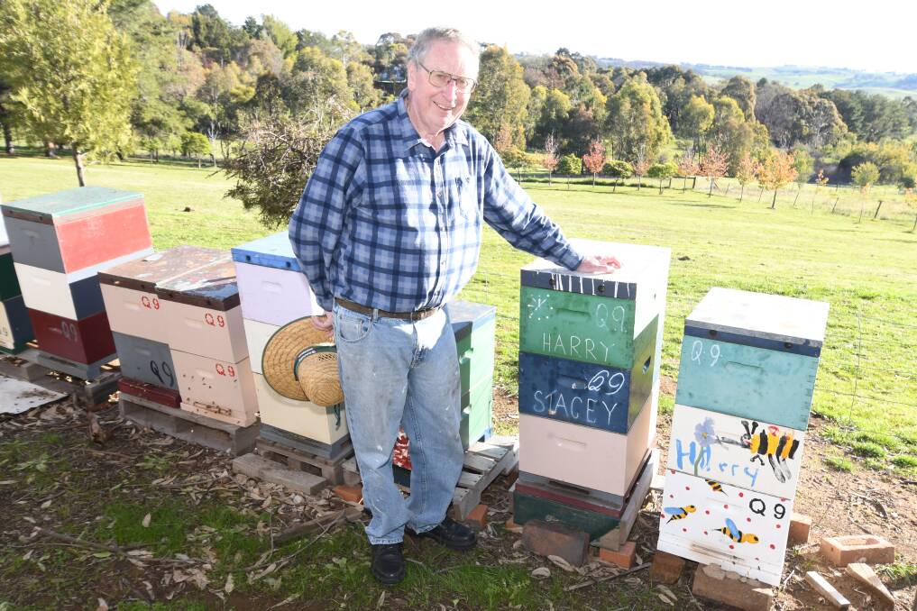 BUZZING AROUND: Beekeeper Ken Quince. Photo: JUDE KEOGH