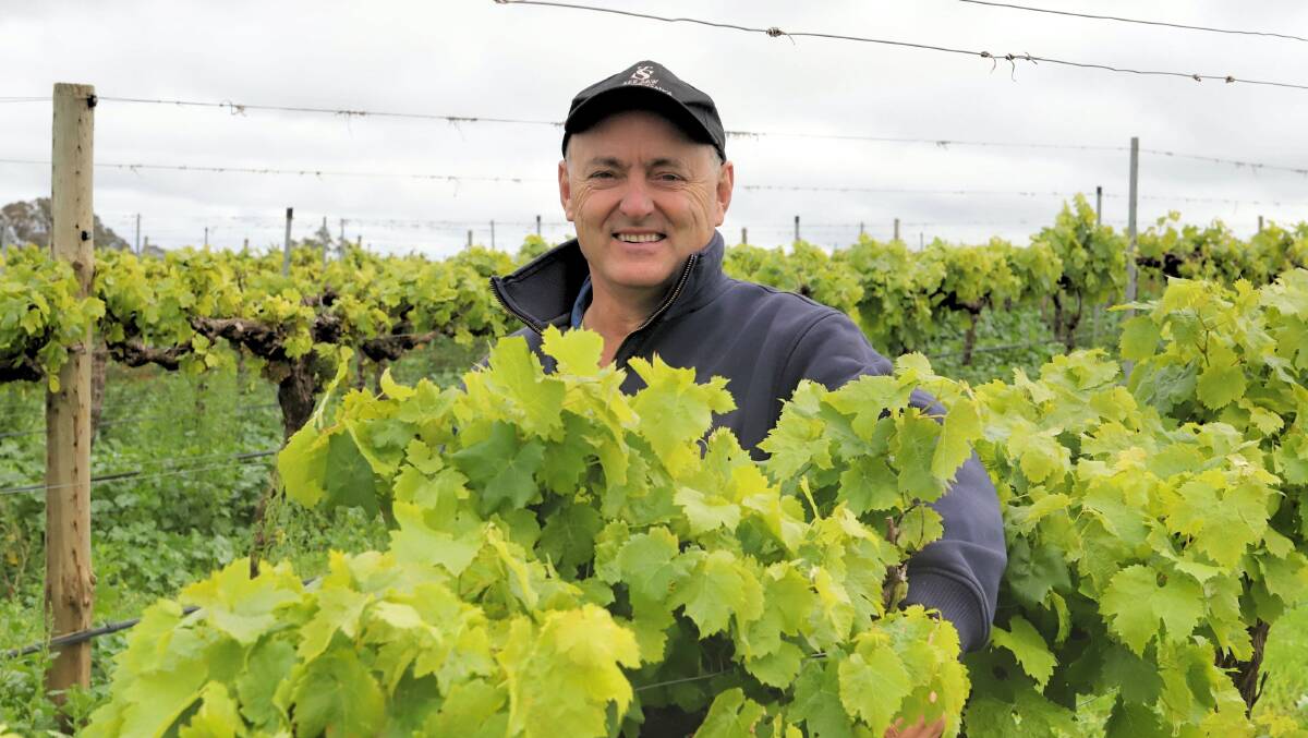 TOP AWARD: See Saw Wines' Justin Jarrett has just been named the winner of the state's top award for a lifetime of achievement in the wine industry. Photo: CARLA FREEDMAN