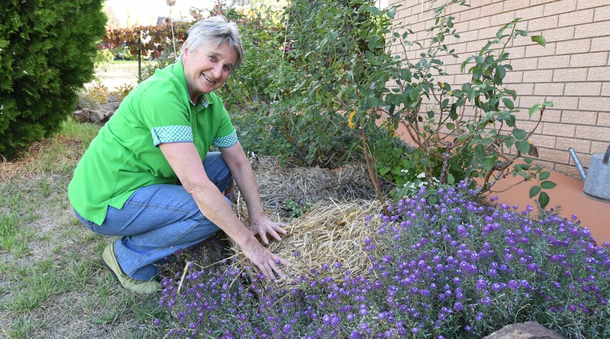 GARDENING TIPS: Keen Molong gardener Mary Iffland has some sound advice for people facing water restrictions in the region. Photo: JUDE KEOGH 0502jkwater1