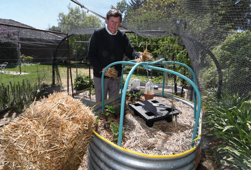 GROW YOUR OWN: Gardening expert Reg Kidd says your vegetable garden can survive the drought. Photo: JUDE KEOGH