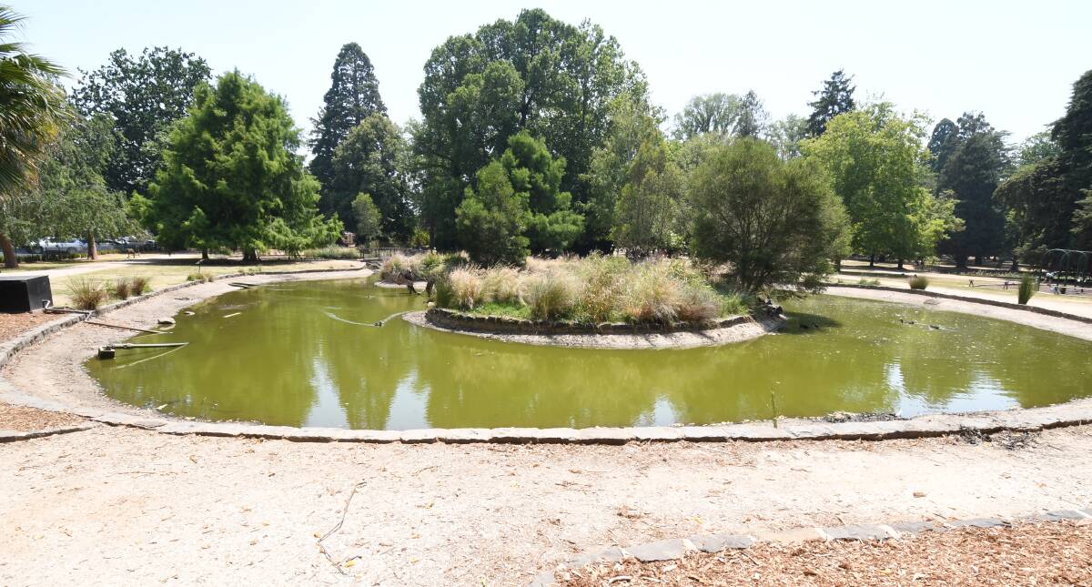 DRY OUTLOOK: The water level is low in the Cook Park duck pond. Photo: JUDE KEOGH