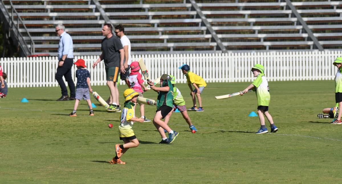 THE RIGHT WAY: Young cricketers learn the sport at Wade Park. Photo: CARLA FREEDMAN 1112cfmilocricket1