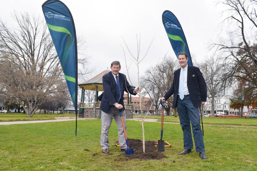 HISTORY BORN: Orange mayor Cr Reg Kidd and CEO David Waddell plant the 75th anniversary tree in Robertson Park after the governor couldn't get to Orange. Photo: Supplied