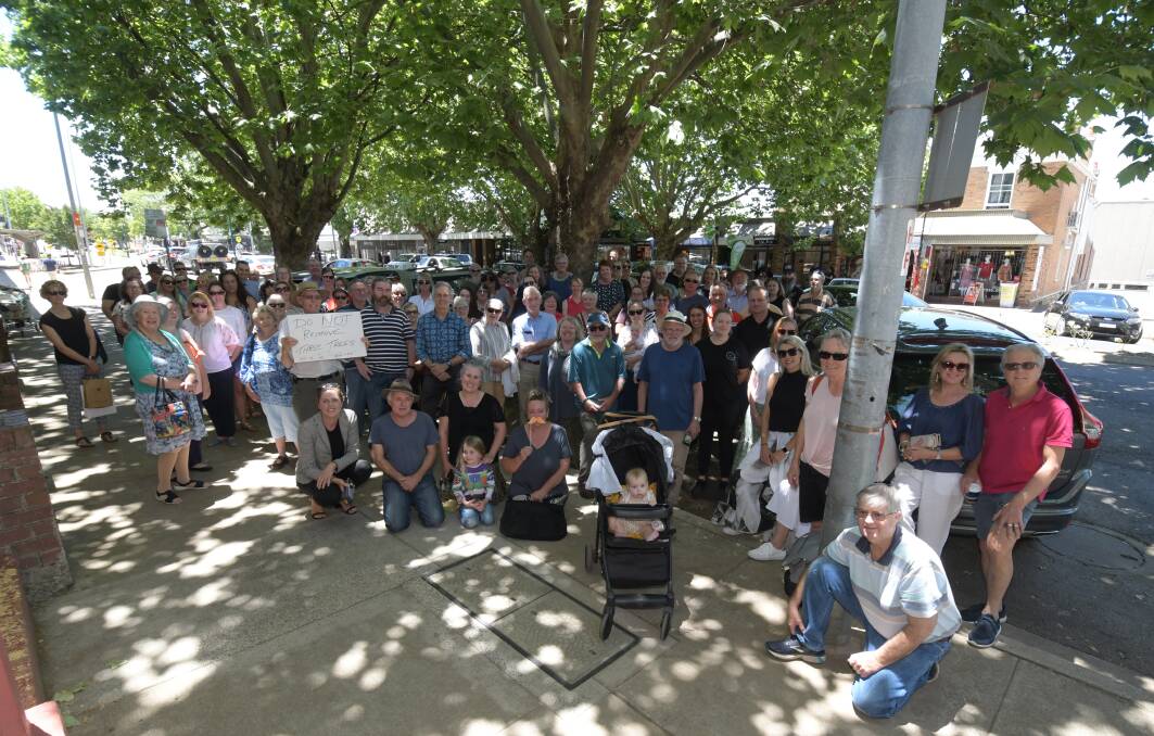 SAVE THE TREES: A rally for the preservation of the Anson Street trees earlier this month. Photo: JUDE KEOGH