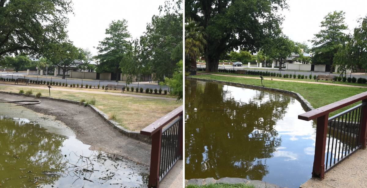 THEN AND NOW: The Cook Park duck pond in January 2020 and now. Photos: CARLA FREEDMAN, JUDE KEOGH