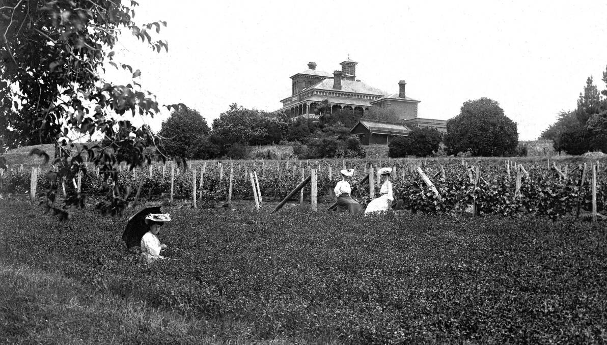 THEN: Rose Dalton (foreground) and two unknown women in the Duntryleague vineyard circa 1900.