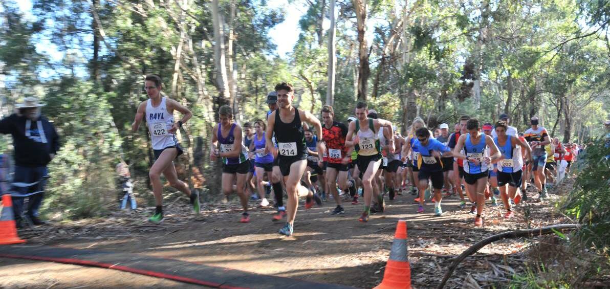 BACK: The Volcanic Challenge at Mount Canobolas is looking to return in March. Photo: JUDE KEOGH