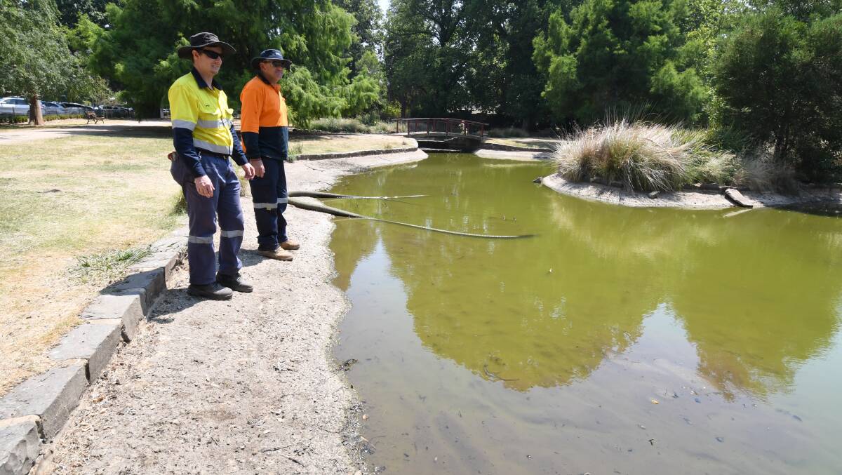 DOWN DOWN: Council staff Phil Tiefel and Craig Delaney inspect the lower duck pond in Cook Park which is not being replenished with town water. Photo: JUDE KEOGH 
