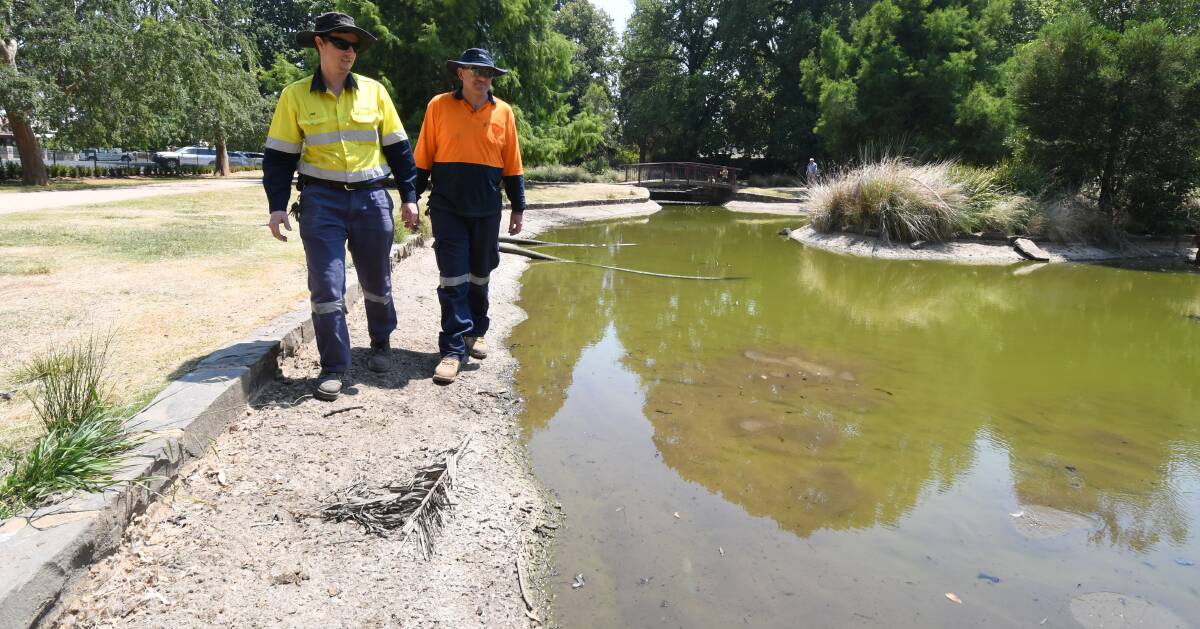 DWINDLING: Council staff Phil Tiefel and Craig Delaney inspect the duck pond in Cook Park which can no longer be replenished with town water. Photo: JUDE KEOGH 1219jkcookpark7