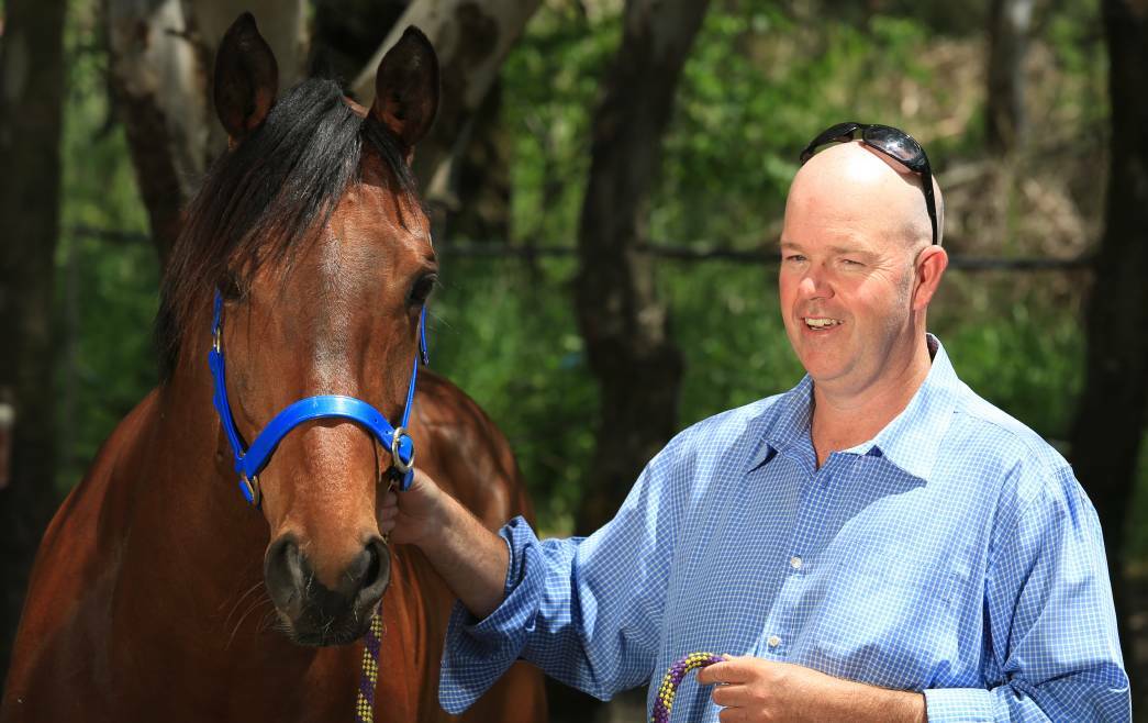 CHASING A WIN: Michael Plummer with Royal Abbey at his Towac Park stables. Photo: PHIL BLATCH