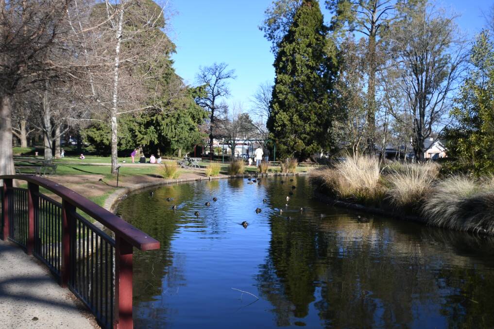 WATER FEATURE: The duck pond is popular at Cook Park. Photos: CARLA FREEDMAN